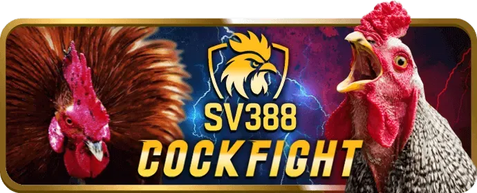 Hướng dẫn chơi game bài đổi thưởng tại u888bet